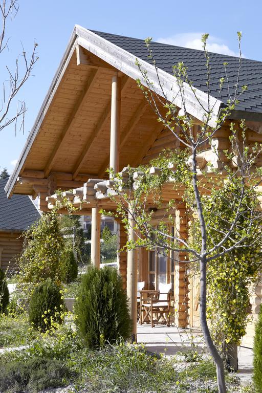 Hyades Mountain Resort Kato Sinikia Trikalon Exterior photo